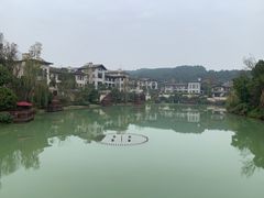 -铁山坪森林公园