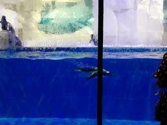 -华夏文旅西安度假区