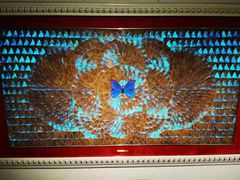 -上海昆虫博物馆