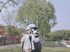 -上海海湾国家森林公园