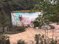 -梦幻奥陶纪景区