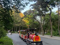 -长春市南湖公园