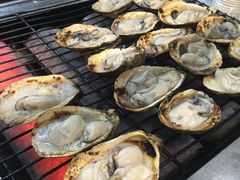 生蚝-冯姐生蚝(迎宾广场店)