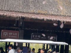 -海南槟榔谷黎苗文化旅游区