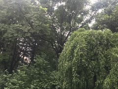 -木塔寺遗址生态公园