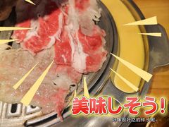 -金顺韩式烤肉·网红烤肉店(广利路店)