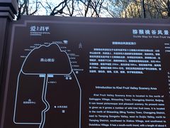 -大岭沟猕猴桃谷风景区