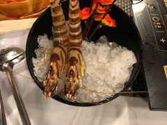 -鲜入围煮花胶鸡海鲜火锅