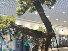 -呷哺呷哺 小火锅 (浦东新欧尚超市店)