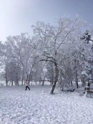 -大秃顶子山