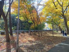 -北海道神宫