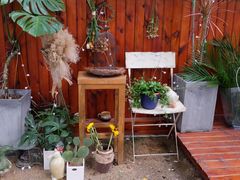 -肥朵食堂(带梦胡同店)