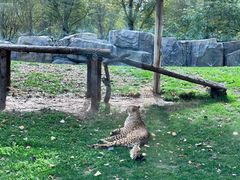 -北京野生动物园