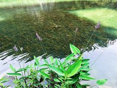 -天河潭旅游度假区