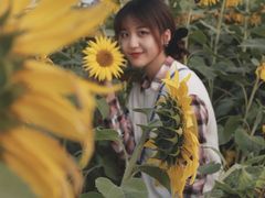 -映月湖中央公园