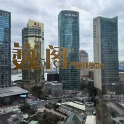 -巍阁高端月子会所