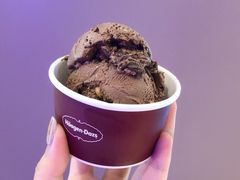 -哈根达斯(皇庭店)