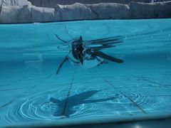 -新疆天山野生动物园