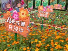 -南昌融创乐园