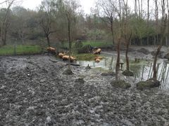 -溱湖国家湿地公园