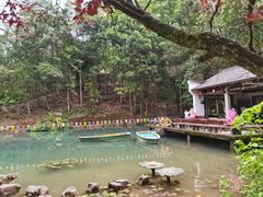 -灵栖洞天