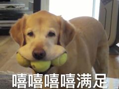 -鲜芋仙Meet Fresh(五道口店)