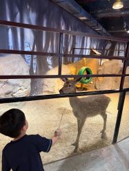 -酷嗒动物文化乐园(cutezoo西溪乐天城店)