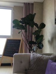 -韩国odri奥黛丽皮肤管理中心
