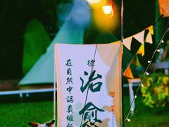 -良成狗狗乐园