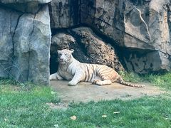 -北京野生动物园