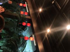 -大鹅岛绿色生态美食园