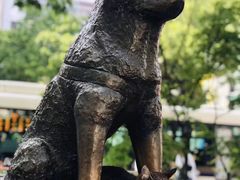 -涩谷区
