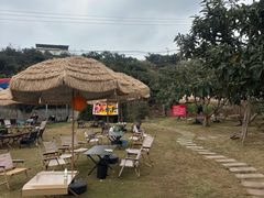 -桃源山庄·水蜜桃采摘·柴火鸡·烧烤团建(龙泉山店)