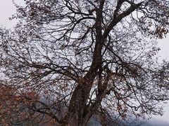 -硗碛藏寨·神木垒景区