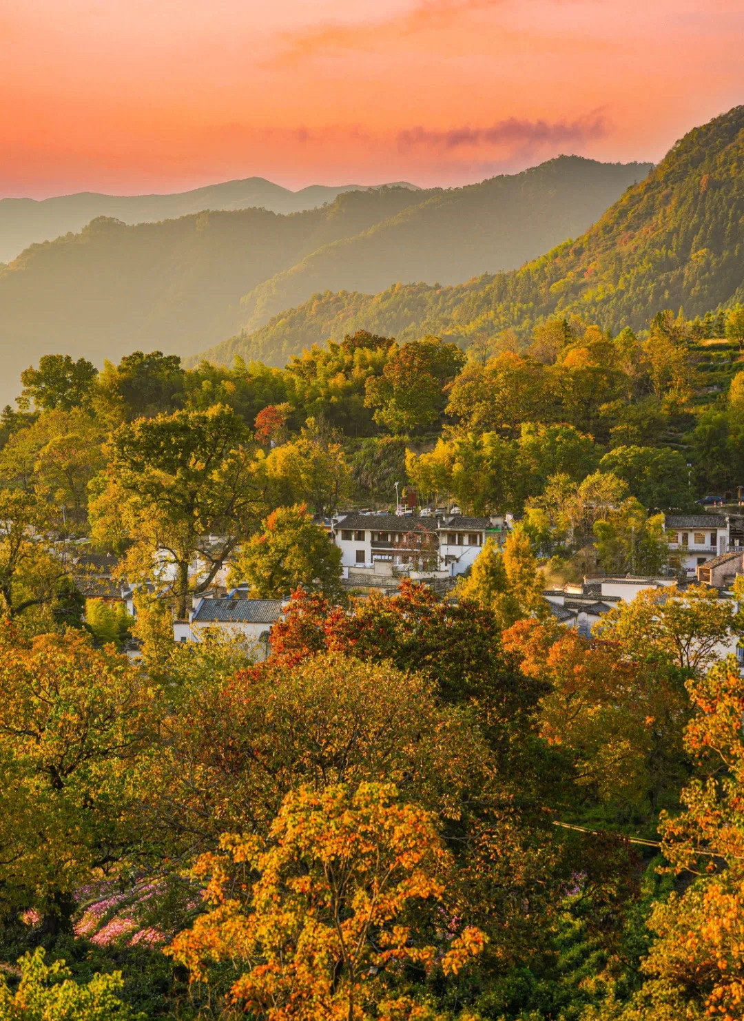 不敢相信这是皖南秋色?说真的,塔川的秋景绝美