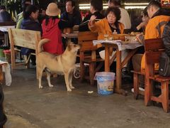 -古城苗家土菜馆(河景餐厅店)