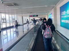 -石家庄正定国际机场-T2航站楼