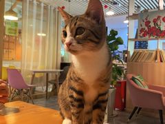 -有何Book(六堰体育馆店)