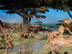 -国家自然博物馆