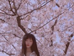 -新江湾城公园