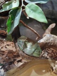 -Zoolung Zoolung动物主题公园(海信广场店)