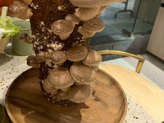 -椰子营·椰子鸡火锅(万象里店)