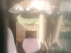 -美联众合动物医院(唯恩分院)