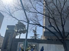 -首都医科大学宣武医院