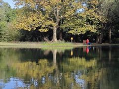 -上海共青森林公园