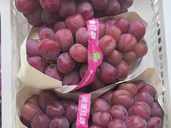 -马陆小张葡萄园农家乐