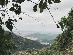 -梧桐山风景名胜区