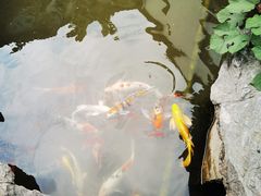 -碧丽宫大酒店(召稼楼店)
