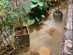-茶理宜世(京溪店)