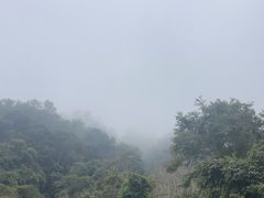 -野象谷景区